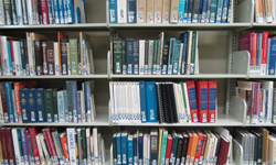Picture of Books on a shelf. Click here to search the Local History Index